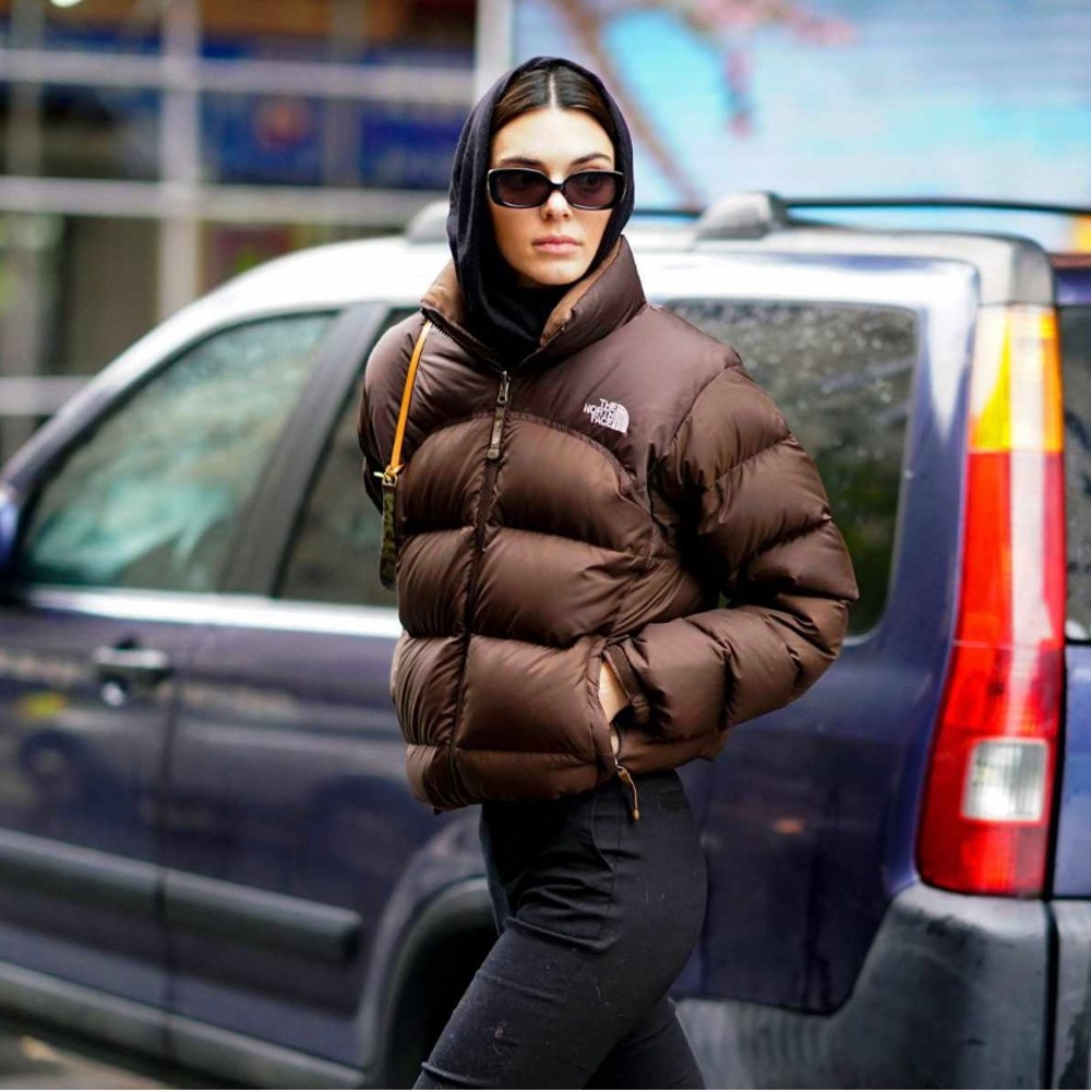 The North Face Y2K Brown 700 Down Puffer Coat Jacket Medium - Picture 1 of 13